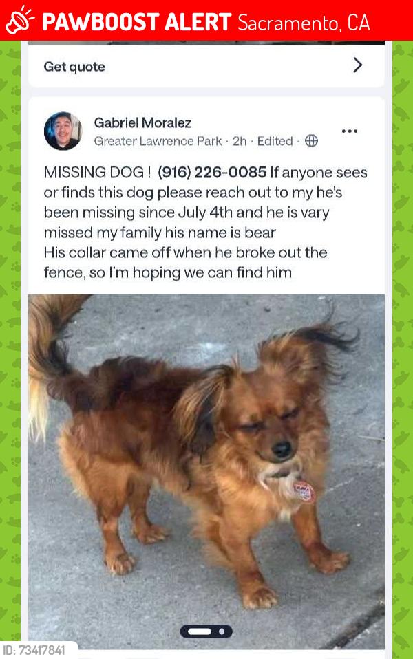 Lost Male Dog last seen 26th Ave between del norte and mendicno, Sacramento, CA 95820