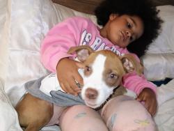 Lost Male Dog last seen Speedway, Liverpool, NY 13088