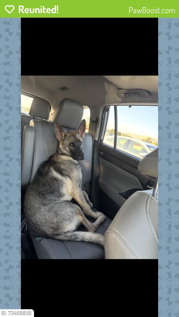 Reunited Male Dog last seen La Sierra & Gramercy, Riverside, CA 92505