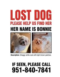 Reunited Female Dog last seen McKinley and magnolia ,corona ca, Corona, CA 91719