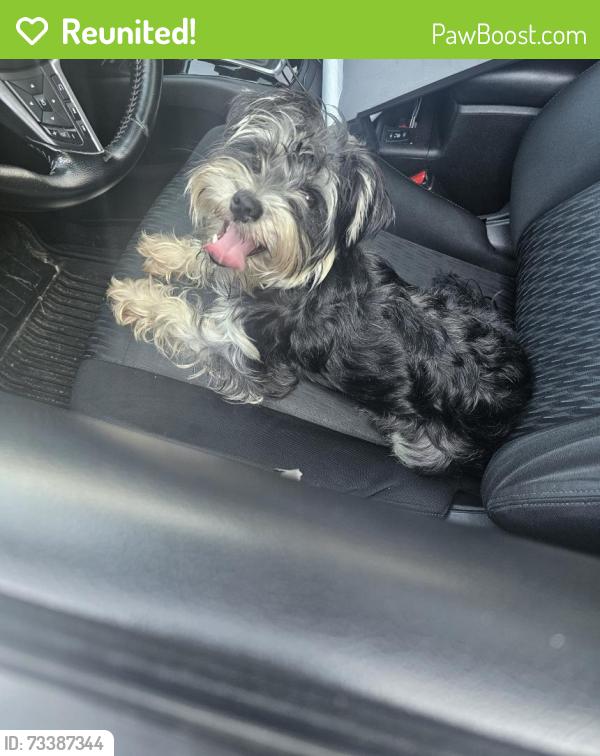 Reunited Female Dog last seen Day Lily Drive, Clayton County, GA 30228