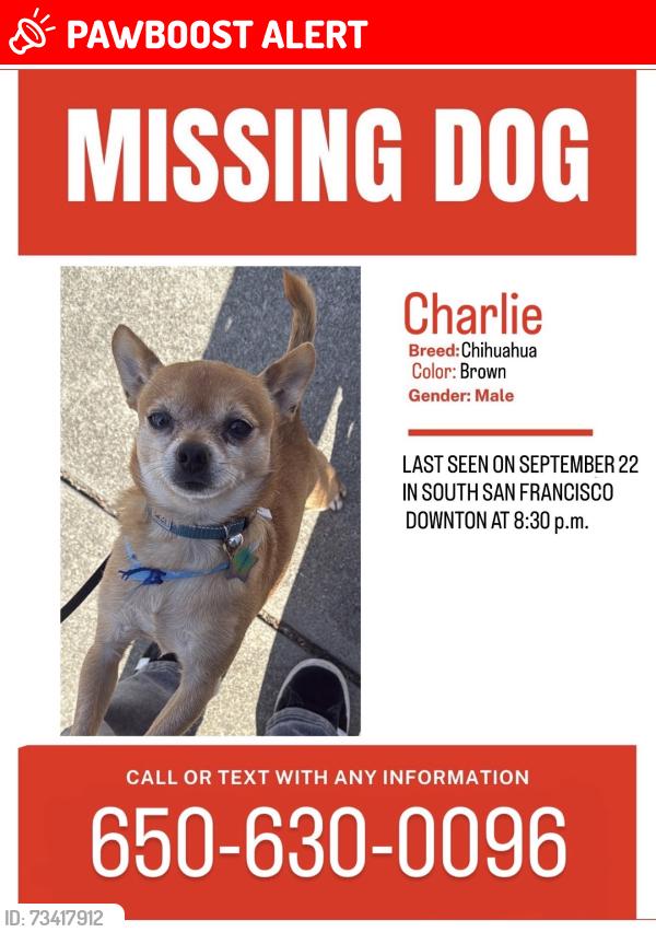 Lost Male Dog last seen Near Badén ave, South San Francisco, CA 94080