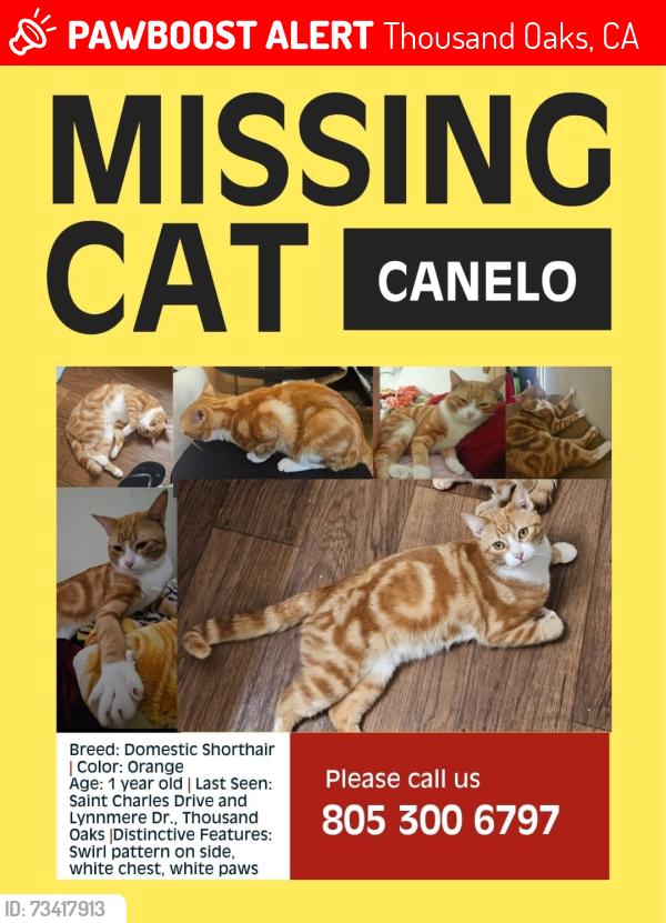 Lost Male Cat last seen St charles dr.., Thousand Oaks, CA 91360