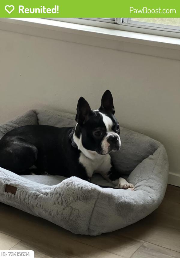 Reunited Male Dog last seen 198th, Aloha, OR 97003