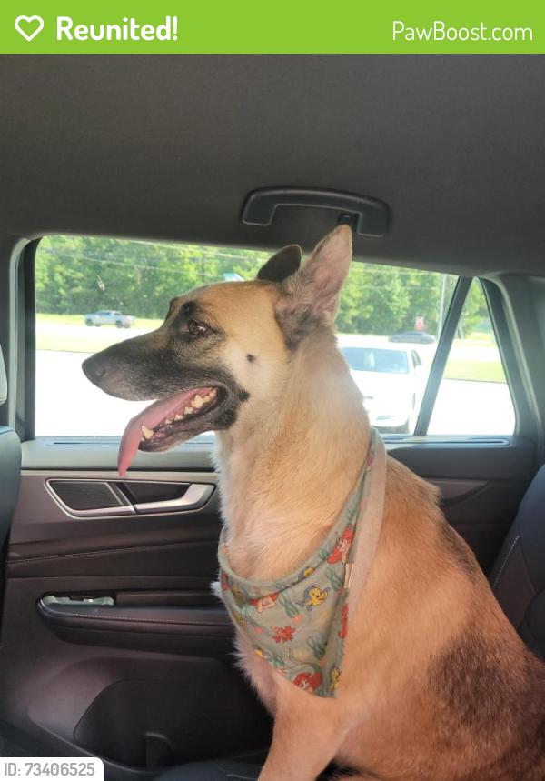 Reunited Unknown Dog last seen Happy Hill and Rt 1, South Chesterfield, VA 23834