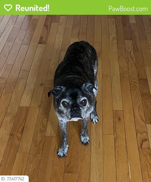 Reunited Male Dog last seen Greenbrier Drive Penn Oaks Golf Course, West Chester, PA 19382