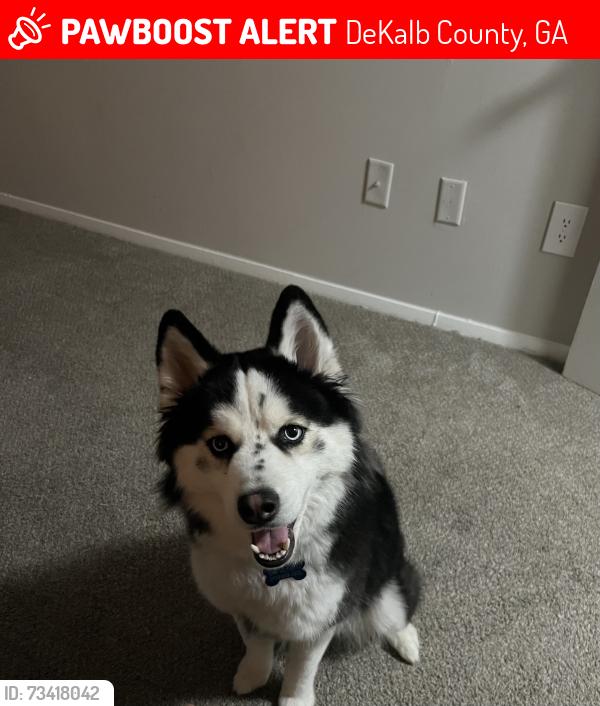 Lost Female Dog last seen Dekalb county, GA, DeKalb County, GA 30021