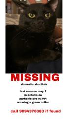 Lost Male Cat last seen N Parkside dr. And Dst, Ontario, CA 91764