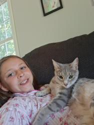 Lost Male Cat last seen By queen street, Dallastown, PA 17313