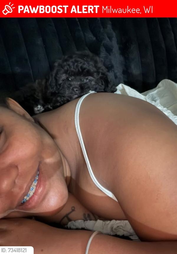Lost Female Dog last seen Sliver doing, Milwaukee, WI 53218