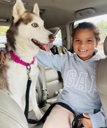 Reunited Female Dog last seen Rising Sun & Roosevelt Blvd, Philadelphia, PA 19120