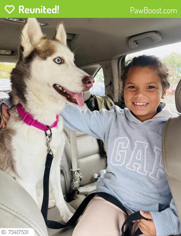 Reunited Female Dog last seen Rising Sun & Roosevelt Blvd, Philadelphia, PA 19120