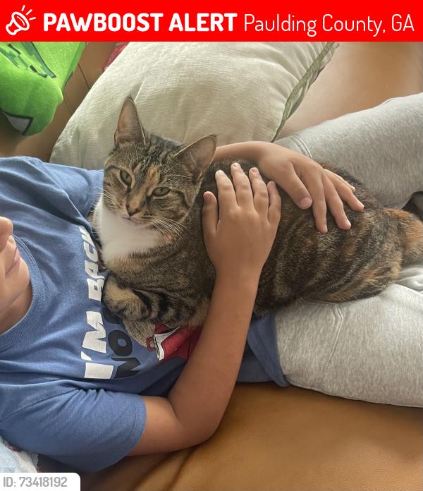 Lost Female Cat last seen Seven Hills Connector/ Garnet Dr, Paulding County, GA 30132