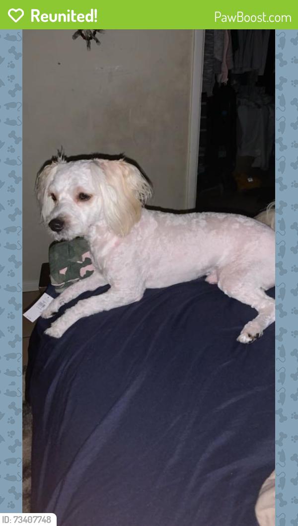 Reunited Male Dog last seen Gold Coast and Westonhill drive, San Diego, CA 92126