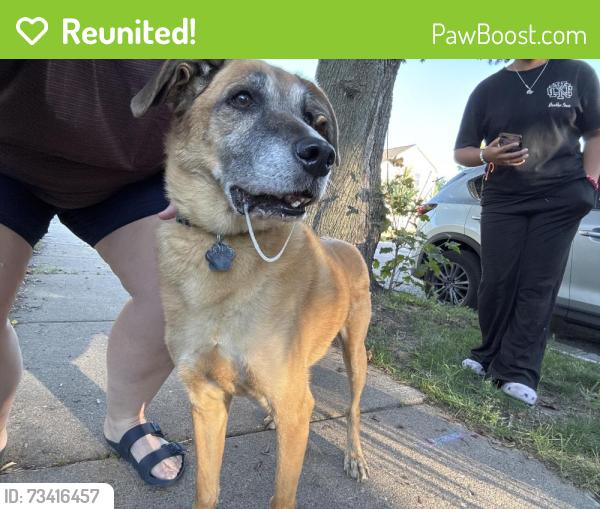 Reunited Female Dog last seen Lawson st e cypress st e, Saint Paul, MN 55101