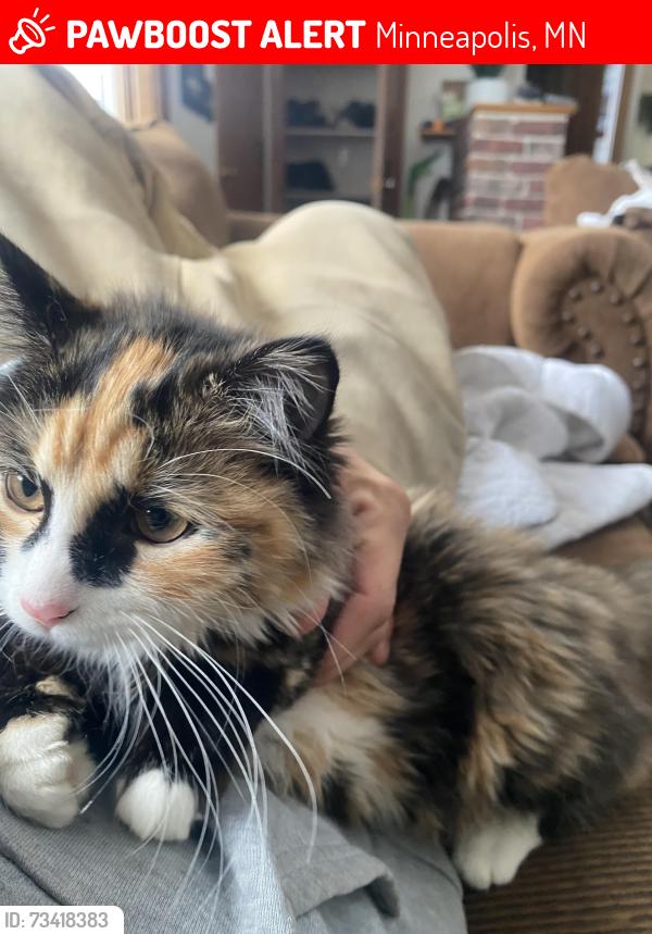 Lost Female Cat last seen Brooklyn center elementary, Minneapolis, MN 55430