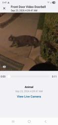 Found/Stray Unknown Cat last seen Kirby/Garland, Hemet, CA 92545