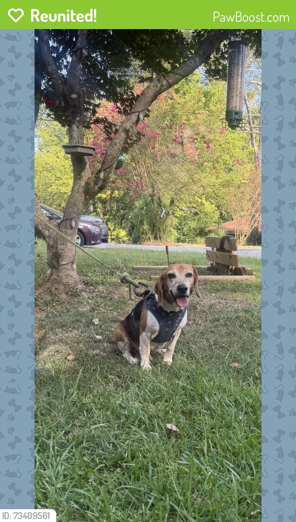 Reunited Male Dog last seen Lasalle Lane, Irondale, AL 35210