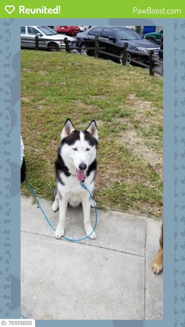 Reunited Male Dog last seen Harbor & Palm by Garden Grove hosp, Garden Grove, CA 92840