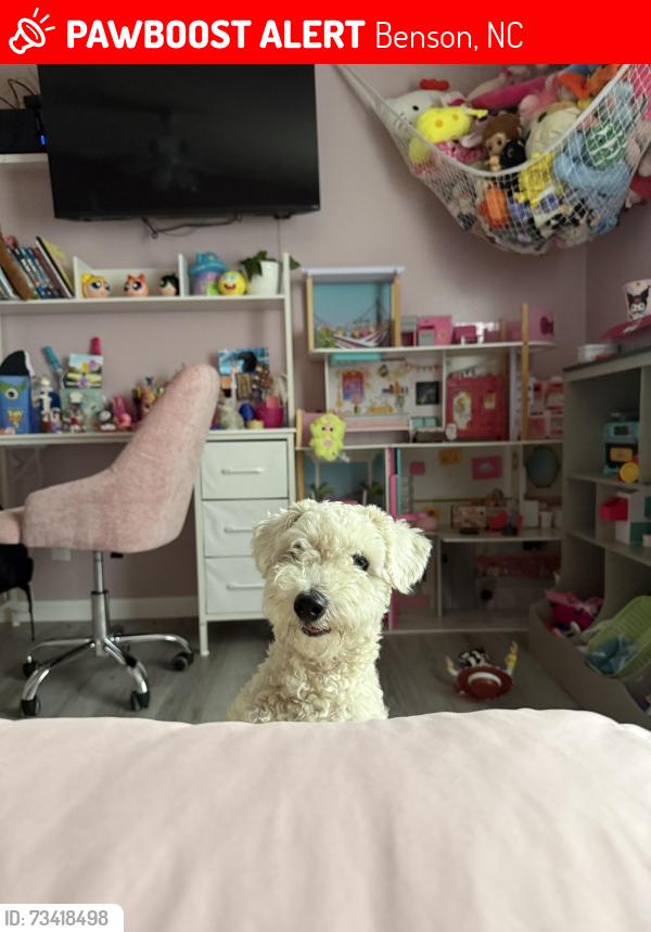 Lost Male Dog last seen Near turlington dr benson, Benson, NC 27504
