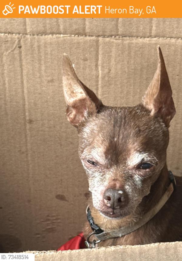 Found/Stray Male Dog last seen Darian and Grandby, Heron Bay, GA 30248