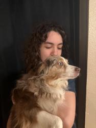 Reunited Female Dog last seen Troutdale Road, Troutdale, OR 97060