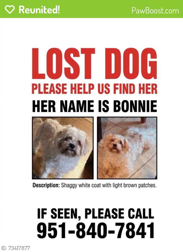 Reunited Female Dog last seen McKinley and magnolia ,corona ca, Corona, CA 91719