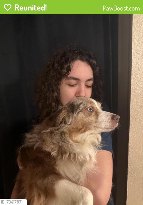 Reunited Female Dog last seen Troutdale Road, Troutdale, OR 97060