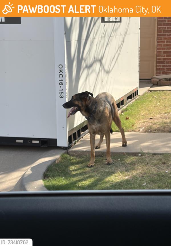 Found/Stray Unknown Dog last seen Bell Ave, Mayberry II Addition (near N. Rockwell & Memorial), Oklahoma City, OK 73142