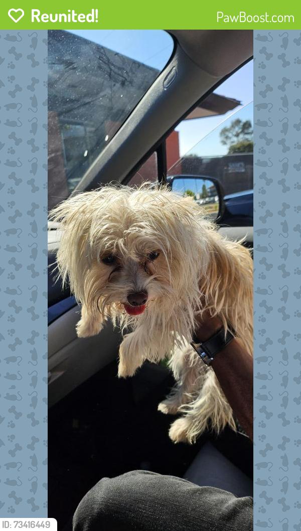 Reunited Female Dog last seen Julmar circle, Fairfield, CA 94534
