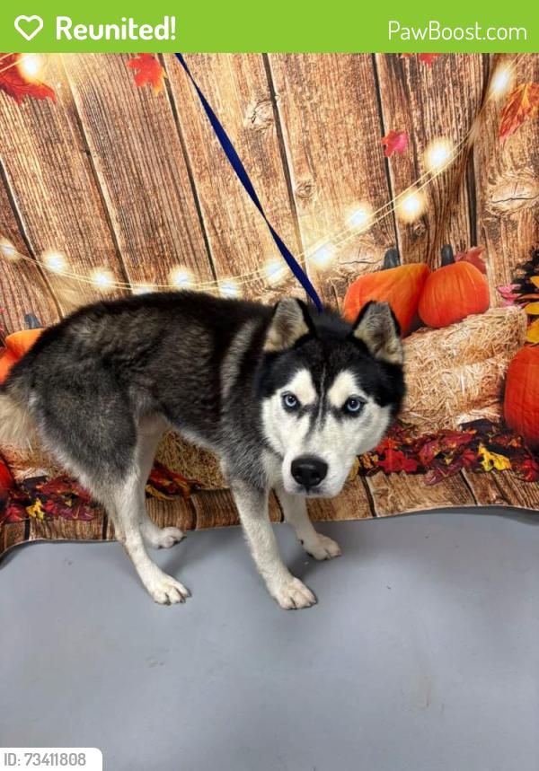 Reunited Unknown Dog last seen Located at Rockdale County Animal Service, 1506 Rockbridge Road, Conyers, GA 30012, Conyers, GA 30012