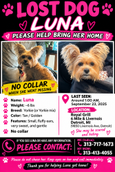 Lost Female Dog last seen Royal grill, Detroit, MI 48203