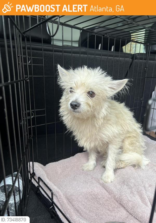 Found/Stray Male Dog last seen Ponce and Moreland, Atlanta, GA 30307