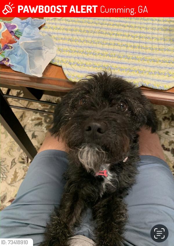 Lost Female Dog last seen Sweetwater drive - Buford dam road, Cumming, GA 30041