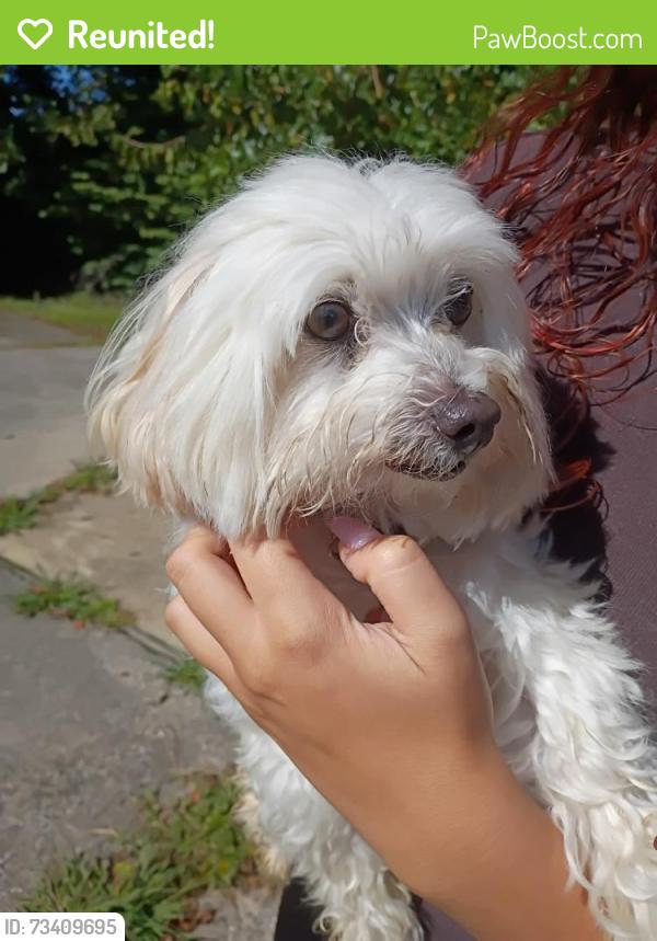 Reunited Unknown Dog last seen Rhawn St and Dorcas St, Philadelphia, PA 19111