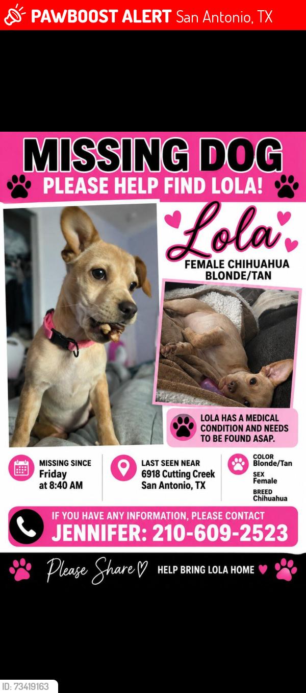 Lost Female Dog last seen Cutting creek NE, San Antonio, TX 78244