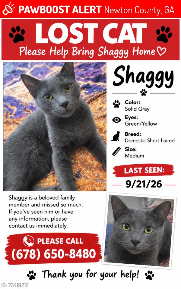 Lost Male Cat last seen Near kirkland ct. Covington ga, Newton County, GA 30016