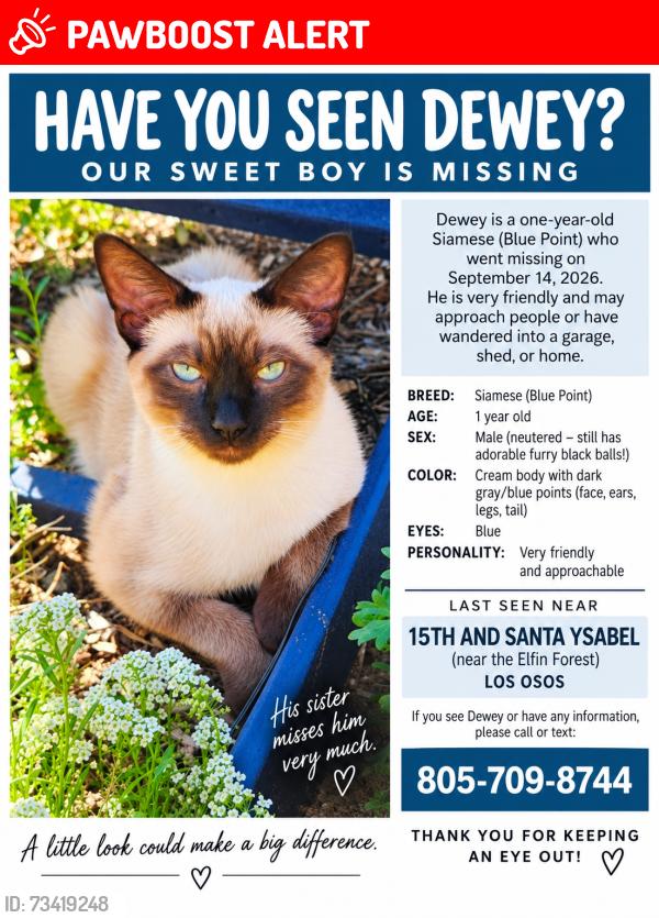 Lost Male Cat last seen Santa Ysabel, Baywood-Los Osos, CA 93402