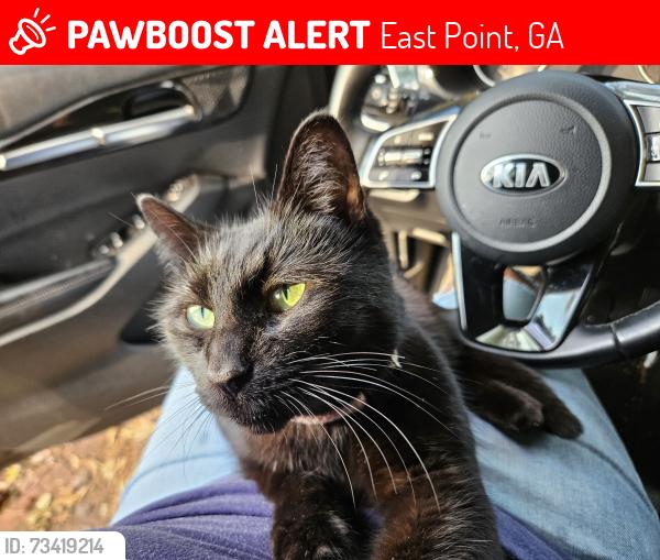 Lost Female Cat last seen College Park Animal hosp, East Point, GA 30344