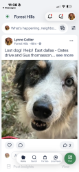 Lost Male Dog last seen Gus thomasson and Oates drive, Mesquite, TX 75150