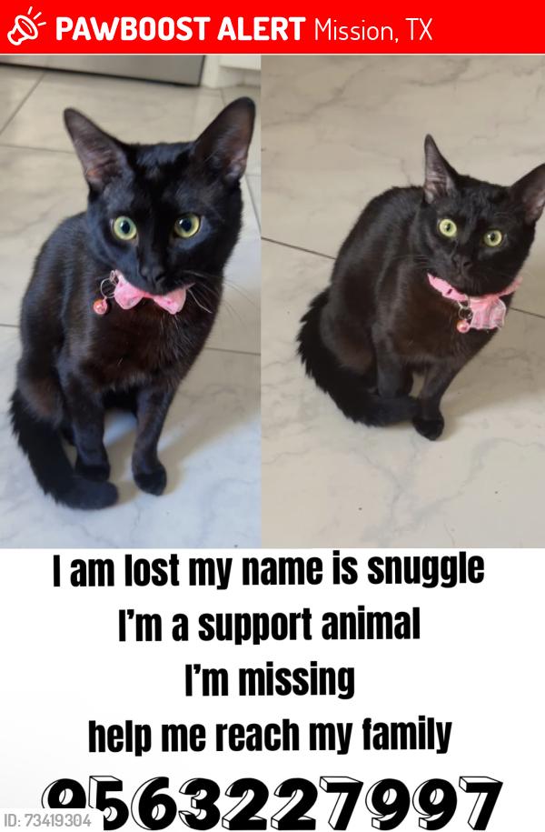 Lost Male Cat last seen Shary, Mission, TX 78573