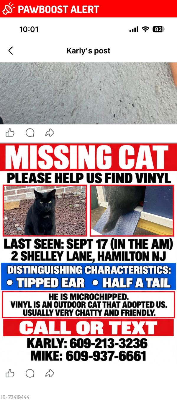 Lost Male Cat last seen Nottingham way, Hamilton Township, NJ 08690