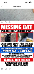 Lost Male Cat last seen Nottingham way, Hamilton Township, NJ 08690