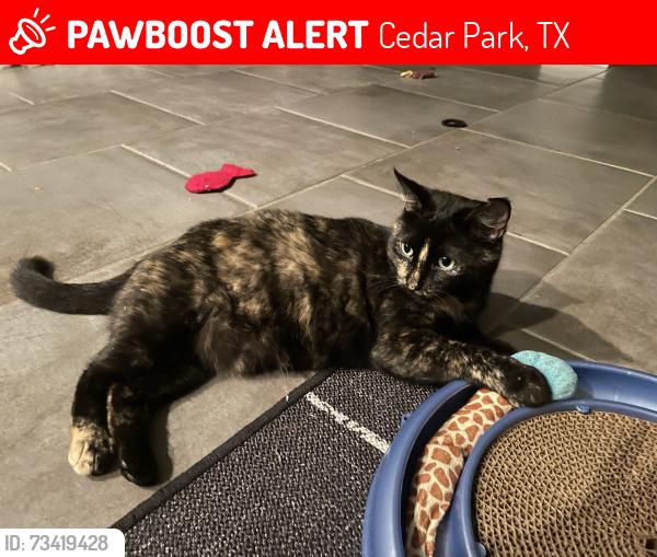 Lost Female Cat last seen Fall Creek Dr and Green Field Dr, Cedar Park, TX 78613