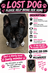 Lost Female Dog last seen Capitol, Milwaukee, WI 53216