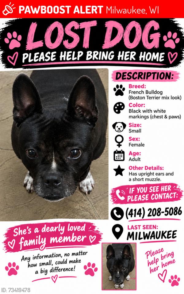 Lost Female Dog last seen Capitol, Milwaukee, WI 53216