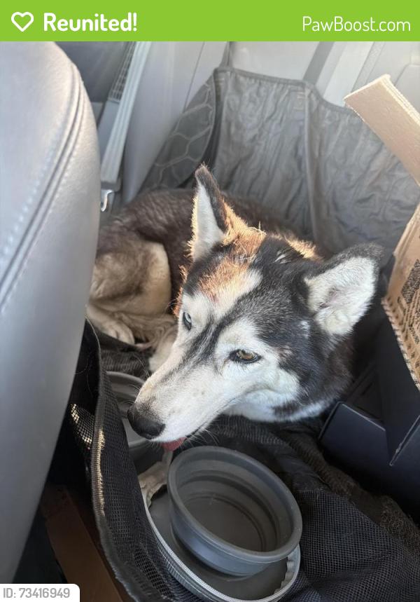 Reunited Unknown Dog last seen San antonio, San Jose, CA 95116