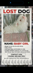 Lost Female Dog last seen Near Pinehurst Dr, Highland, CA 92346