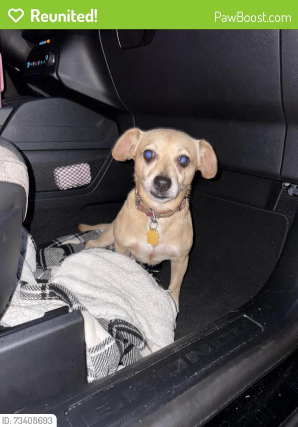 Reunited Male Dog last seen Lloyd Rd, Decatur, GA Battleforest Neighborhood, DeKalb County, GA 30316