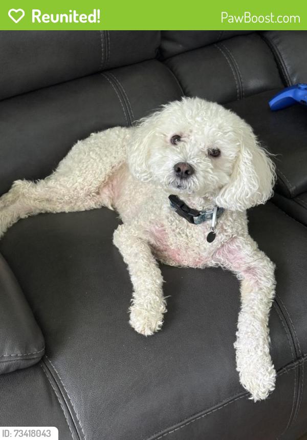 Reunited Male Dog last seen Singleton Rd and Singleton Valley Cir, Norcross, GA 30093